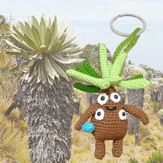 Llavero Ernesto Pérez. Llavero de frailejón tejido a crochet. Llavero de frailejón tejido a mano. Llaveros tejidos personalizados. Talykí Taller de Tejidos y diseño textil